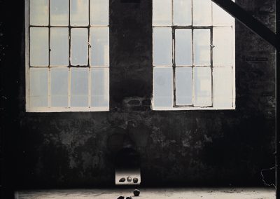 Collodion wet plate process